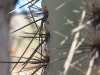 P1020120.JPG